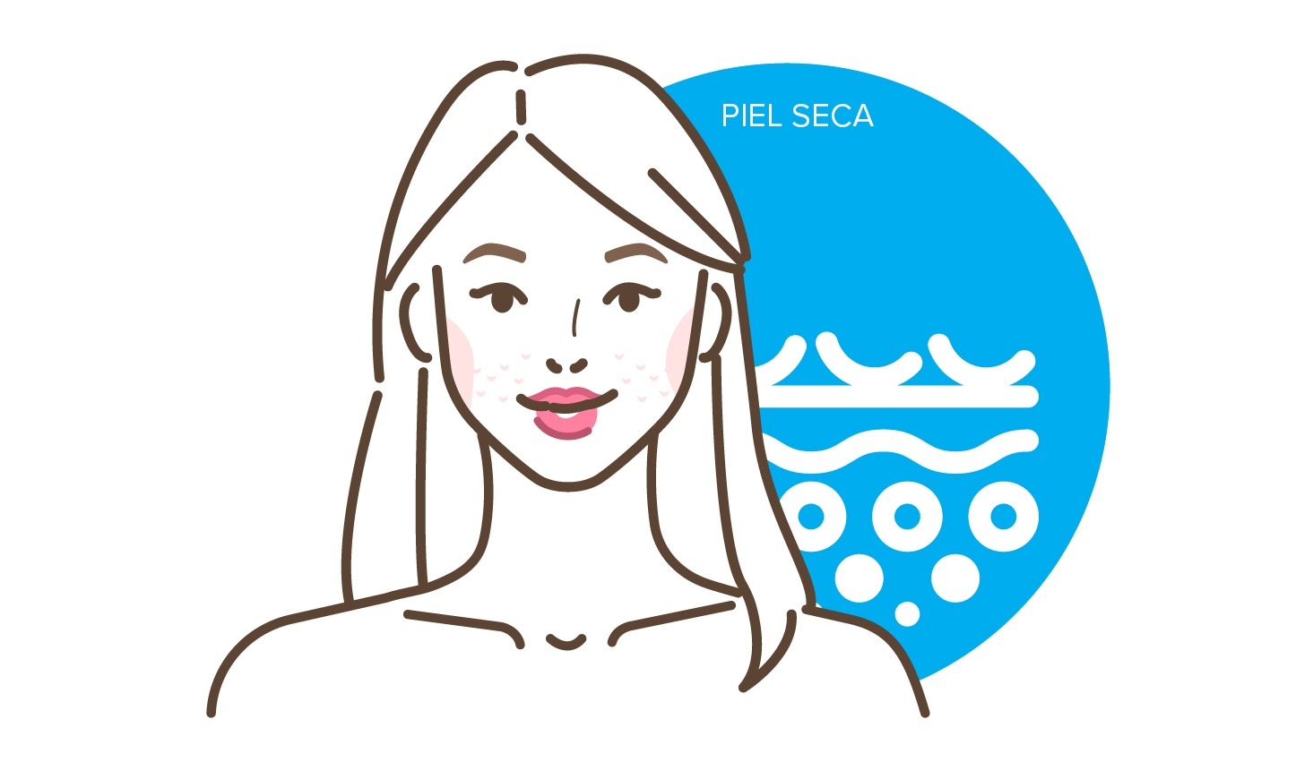 figura piel seca